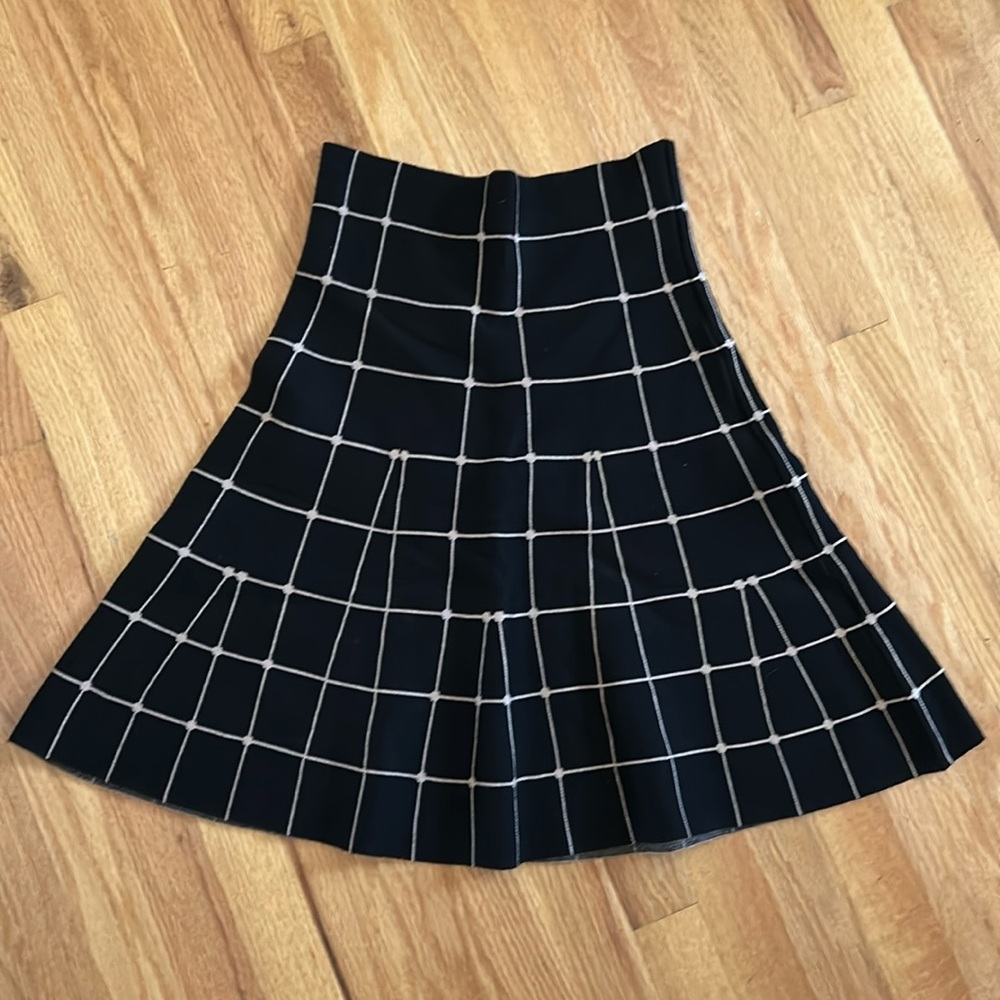 Max Studio Skirt